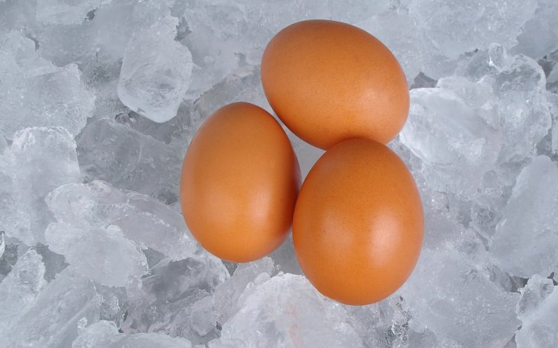 Everything You Need to Know Before You Freeze Your Eggs